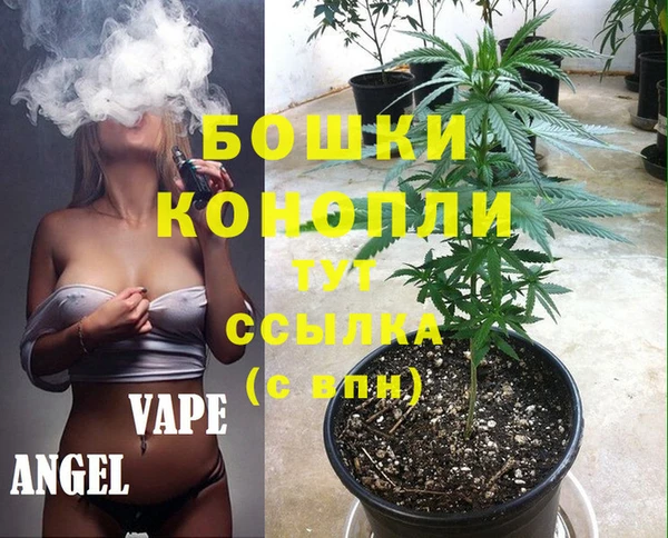 apvp Богородск