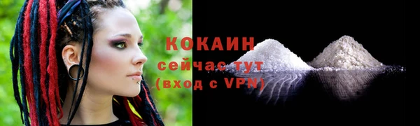 прущая мука Богородицк